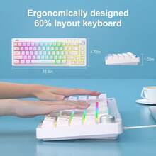 MAGEGEE TS68 Mechanical Feel Keyboard, Win Compatible, Cool RGB Lighting, 19-Key Anti-Ghosting, Ergonomic Design, Multi-Function Knob, 66-Key - View 7