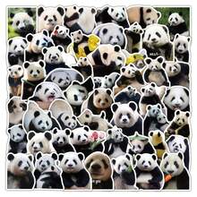 61pcs Floral Panda Stickers - Waterproof Vinyl Decals With Cute Panda And Flower Patterns Suitable For Laptops, Water Bottles, Luggage And DIY Crafts Perfect For Animal And Nature Lovers To Add Fun And Cute Decoration To Everyday Items - Multicolor - View 3