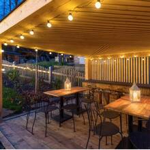 Cadena de luces para exteriores de 7.5M 25 pies, decoración de patio de jardín con blanco cálido de 2500 K, 25 bombillas LED Edison, temporizador de soporte regulable - Tipo de Enchufe A USA (110-127V) - Ver 10