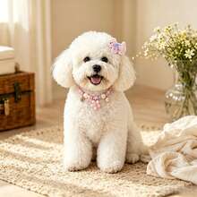 7PCS Cute Pet Combination Set Adjustable Size Handmade Beaded Flower Pet Collar + 6pcs Multicolor Cartoon Puppy Mini Hair Clips Small Dog Cat Outdoor Photo Shoot Decoration Accessories Gift Clips Necklace Combination - Multicolor - View 4