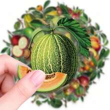 56pcs Tropical Fresh Fruit Graffiti PET Stickers, Suitable For Decorating Journals, Phone Cases, Notebooks, Tablets, Skateboards, Guitars, Party Packaging, Water Bottles And Luggage - Multicolor - View 7