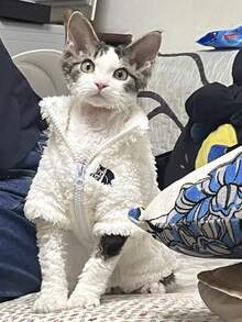 3-Color Fashion Winter Pet Coat, Hairless Cat Clothing, Sphynx Devon Thick Warm Fleece Jacket, 4-Color Lamb Fleece Warm Coat - White - View 4