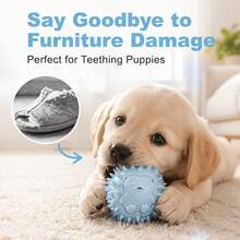 4 Colors Available Pet Sound Toy | Interactive Training Ball | Chewing And Dental Care Tool | Noise-Making Toy | Energy Consumption | Suitable For Small And Medium Dogs | Diameter 6.5CM, No Battery Included - Multicolor - View 6