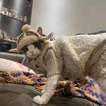2pcs Pet Lamb Wool Vest Set, Warm Clothing For Cats, Suitable For Home And Outdoor Wear, For Devon Rex, Sphynx Hairless Cats, High Neck Knitted Patchwork Thickened Skin-Friendly Button Pet Clothes - Apricot - View 8