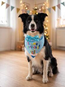 5pcs/3pcs Pet Dog Birthday Hat, Dog Birthday Decorations, Dog Birthday Headband, Dog Birthday Party Supplies, Birthday Dog Outfit For Small, Medium And Large Dogs And Cats, Dog Party Decorations - Multicolor - View 9
