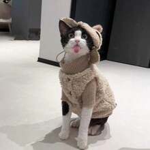 2pcs Pet Lamb Wool Vest Set, Warm Clothing For Cats, Suitable For Home And Outdoor Wear, For Devon Rex, Sphynx Hairless Cats, High Neck Knitted Patchwork Thickened Skin-Friendly Button Pet Clothes - Apricot - View 7