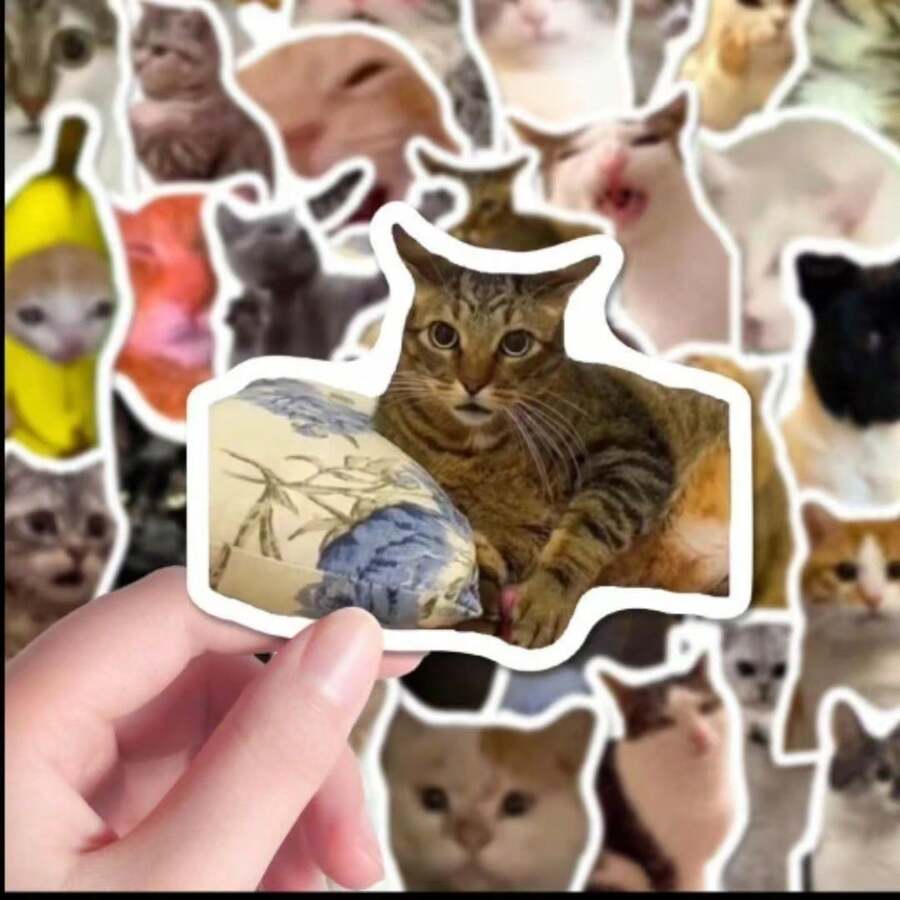 100pcs Animal Reading Activity Stickers | Vinyl Aesthetic Decals ...