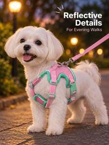 1pc Reflective Adjustable Dog Harness With Breathable Mesh, Thickened Top Handle, Double D-Rings And Quick-Release Buckle, Suitable For Small, Medium And Large Dogs, Pet Vest, Pet Harness And Leash Set, Decorative Pet Clothing - Multicolor - View 11