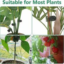 Approx. 50pcs Plant Stem Clips, Plant Vine Support Clips, Used For Upright Growth Of Flowers, Branch Clips, Garden Plant Support Clips - Multicolor - View 2