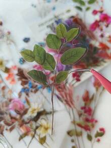 40pcs/Pack Vintage Floral Plant Notebook Decorative Stickers, PET Material, Suitable For Scrapbooking, Labels, Journals, Stationery, Photo Albums, Phone Books, Notebooks, Planners, Back To School - Multicolor - View 3