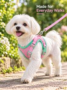 1pc Reflective Adjustable Dog Harness With Breathable Mesh, Thickened Top Handle, Double D-Rings And Quick-Release Buckle, Suitable For Small, Medium And Large Dogs, Pet Vest, Pet Harness And Leash Set, Decorative Pet Clothing - Multicolor - View 10