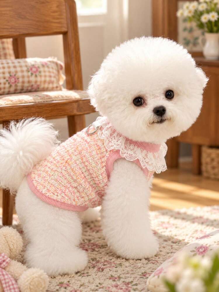 1pc Pet Knit Vest With D-Ring Harness, Lace Collar & 3D Flower Decor, Spring Autumn Clothes For Small Dogs Cats Bichon Teddy Yorkshire - Mint Green - View 9