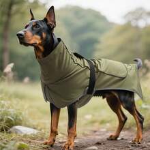 1pc Dog Raincoat Waterproof Windproof Jacket With Adjustable Reflective Strip, Green & Black Color - Black - View 2