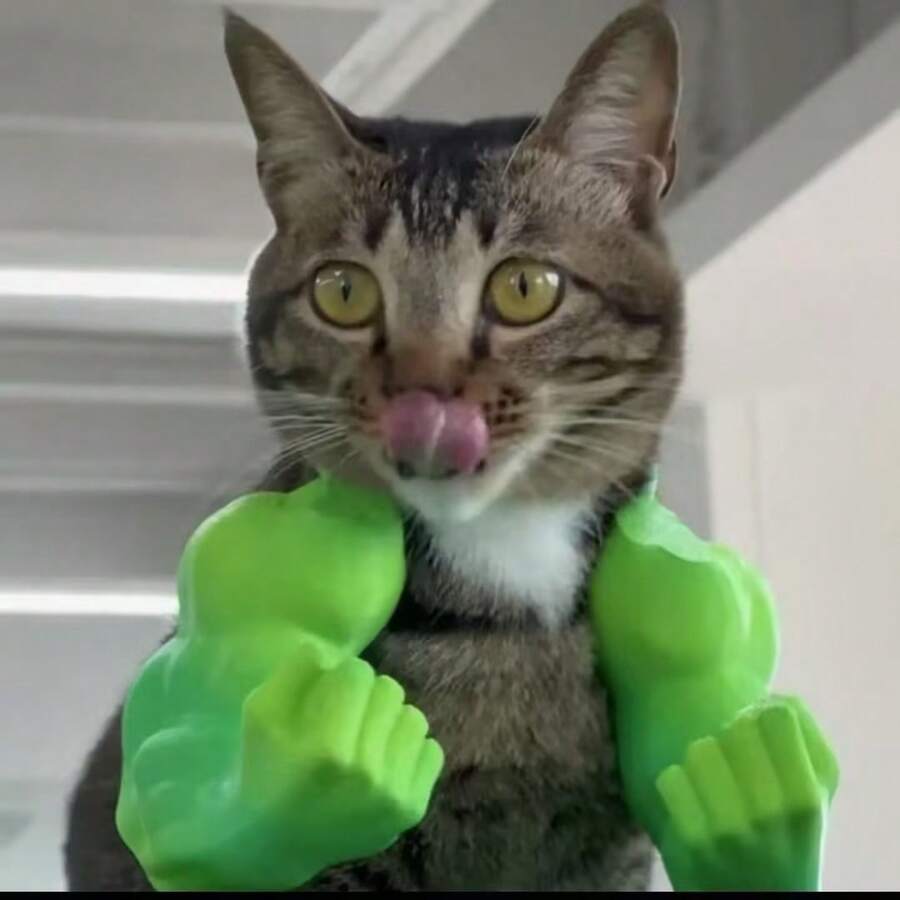 1pc Pet Muscle Arm Neck Accessory, Muscle Style Green Bicep Design Cat Dog Costume, Funny Photo Prop Novelty Toy