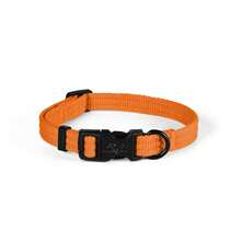 Small Dog Collar Adjustable Nylon Pet Neck Collar Dog Leash Collar - Orange - View 1