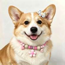 7PCS Cute Pet Combination Set Adjustable Size Handmade Beaded Flower Pet Collar + 6pcs Multicolor Cartoon Puppy Mini Hair Clips Small Dog Cat Outdoor Photo Shoot Decoration Accessories Gift Clips Necklace Combination - Multicolor - View 5