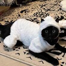 Pakaian Musim Dingin untuk Kucing Kecil hingga Sedang, Motif Domba Putih, Hangat dan Nyaman, Cocok untuk Kucing Sphynx Tanpa Bulu. - Putih - View 1