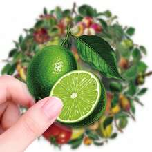 56pcs Tropical Fresh Fruit Graffiti PET Stickers, Suitable For Decorating Journals, Phone Cases, Notebooks, Tablets, Skateboards, Guitars, Party Packaging, Water Bottles And Luggage - Multicolor - View 4