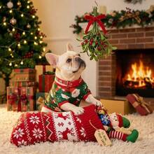 Bộ 2 món trang phục Giáng Sinh cho chó, áo vest thú cưng in hình ông già Noel đỏ & xanh lá kèm vòng cổ chuông, phù hợp cho chó cỡ nhỏ và trung bình, quần áo mùa đông - màu xanh lá - Xem 6