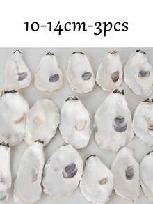1/3/5pcs Concave Small Oyster Shells, Blank Oyster Shells For Handmade Crafts, DIY Painting Decoration Shells, Suitable For Christmas Ornaments, Beach Home Decor, Wedding Table Decor, Suitable For Adult Craft Enthusiasts, Halloween Thanksgiving Christmas Gifts - Multicolor - View 13