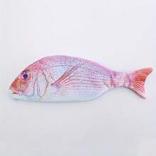 Creative Realistic Fish Pencil Case Personalized Unisex Student Pencil Box Salted Fish Pencil Bag Storage Bag - B6 - View 4