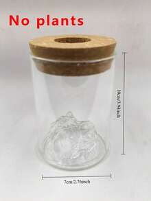 Hydroponic Planter With Wooden/Plastic Lid - A Transparent Seed Pot Suitable For Indoor Hydroponic Gardens, Used For Growing Air-Purifying Green Plants And Plants - Modern Country Style Planter. - A - View 5