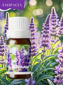 EMBRACEX. 24種植物精油 10ml 芳香精油 薄荷油 葡萄藤 芳香療法 清新空氣 節日禮物 蠟燭製作 肉桂 乳香 薄荷 檸檬草 尤加利 迷迭香 生薑 茶樹 廣藿香 雪松 白麝香 艾草 檸檬香草 黑胡椒 牛至 茴香 檀香 佛手柑 橙花 茉莉 丁香 - PLANT - 查看 25