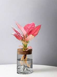Hydroponic Planter With Wooden/Plastic Lid - A Transparent Seed Pot Suitable For Indoor Hydroponic Gardens, Used For Growing Air-Purifying Green Plants And Plants - Modern Country Style Planter. - A - View 6