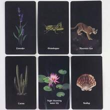 Kartu Oracle Dewa Malam Gelap: Mengambil inspirasi dari alam dan energi bulan serta bintang, kartu-kartu indah ini sangat cocok untuk panduan harian dan meditasi. - Navy Blue - View 6