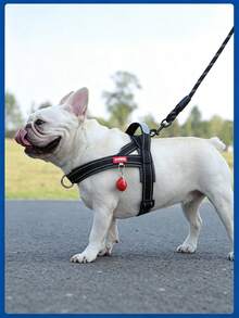 Harness Anjing Nilon Empuk dengan Jaring Lembut, Rompi Hewan Peliharaan yang Dapat Diatur, Harness Nyaman untuk Jalan-jalan Anjing, Cocok untuk Anjing Kecil dan Sedang, Harness Reflektif, Cocok untuk Anjing Bulldog Prancis - MultiWarna - View 6