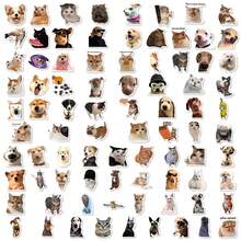 50/100Pcs PP Funny Cat Meme Stickers, Fun Patterns Of Viral Hilarious Cat Meme Images, Suitable For Journals, Water Bottles, Notebooks, Storage Boxes, Skateboards, Helmets, Luggage, Laptops, Guitars, Tablets, Power Banks, Folders, Gift Boxes - Multicolor - View 10