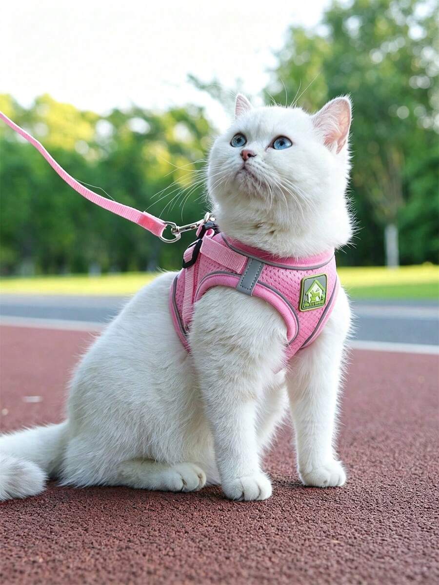 Reflective Adjustable Pet Harness And Leash Set, Breathable Mesh Cat And Dog Walking Vest, Pressure Relief Design, Suitable For All-Season Outdoor Walking