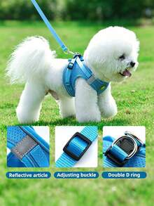 Pet Harness And Leash Set, All-Season Soft Mesh Breathable Reflective Adjustable Walking Vest, Suitable For Cats And Small Dogs Outdoor Walking - Blue - View 5