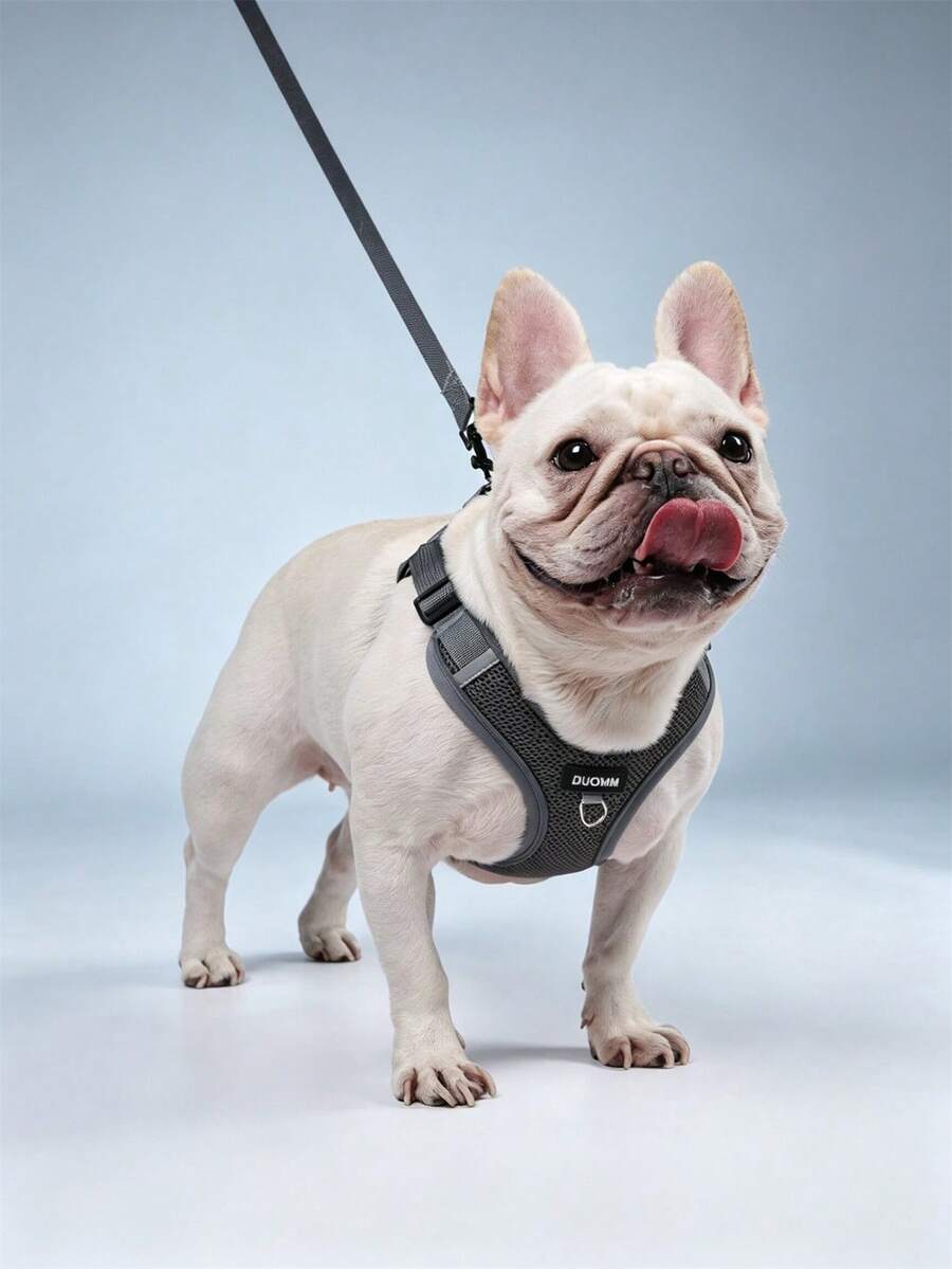 1 Set New Color Pet Dog Leash, Reflective Adjustable Harness, French Bulldog Outdoor Dog Walking Rope & Collar Set, Soft Breathable Mesh Material, Suitable For Small/Medium Pets All Seasons