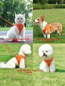 1 Set Pet Harness And Leash Set, Soft Mesh Breathable Reflective Adjustable Dog Vest, Suitable For Small Cats And Dogs, All Season - Orange - View 4