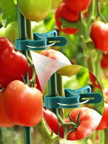 20pcs Garden Plant Clips, Plastic Gardening Clips, Butterfly Orchid Tomato Vine Branch Fixing Support Clips - A - View 6