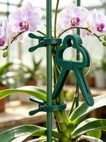20pcs Garden Plant Clips, Plastic Gardening Clips, Butterfly Orchid Tomato Vine Branch Fixing Support Clips - A - View 1