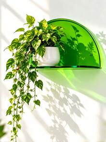 Portable Minimalist Acrylic Display Shelf With Rounded Edges, Dust-Proof Wall-Mounted Storage Rack For Gamers, Suitable For Plants, Kitchen, Apartment Essentials, Home Decor, Coffee Bar, Home Office, Bathroom, Bedroom, Living Room Wall Decoration - Multicolor - View 4