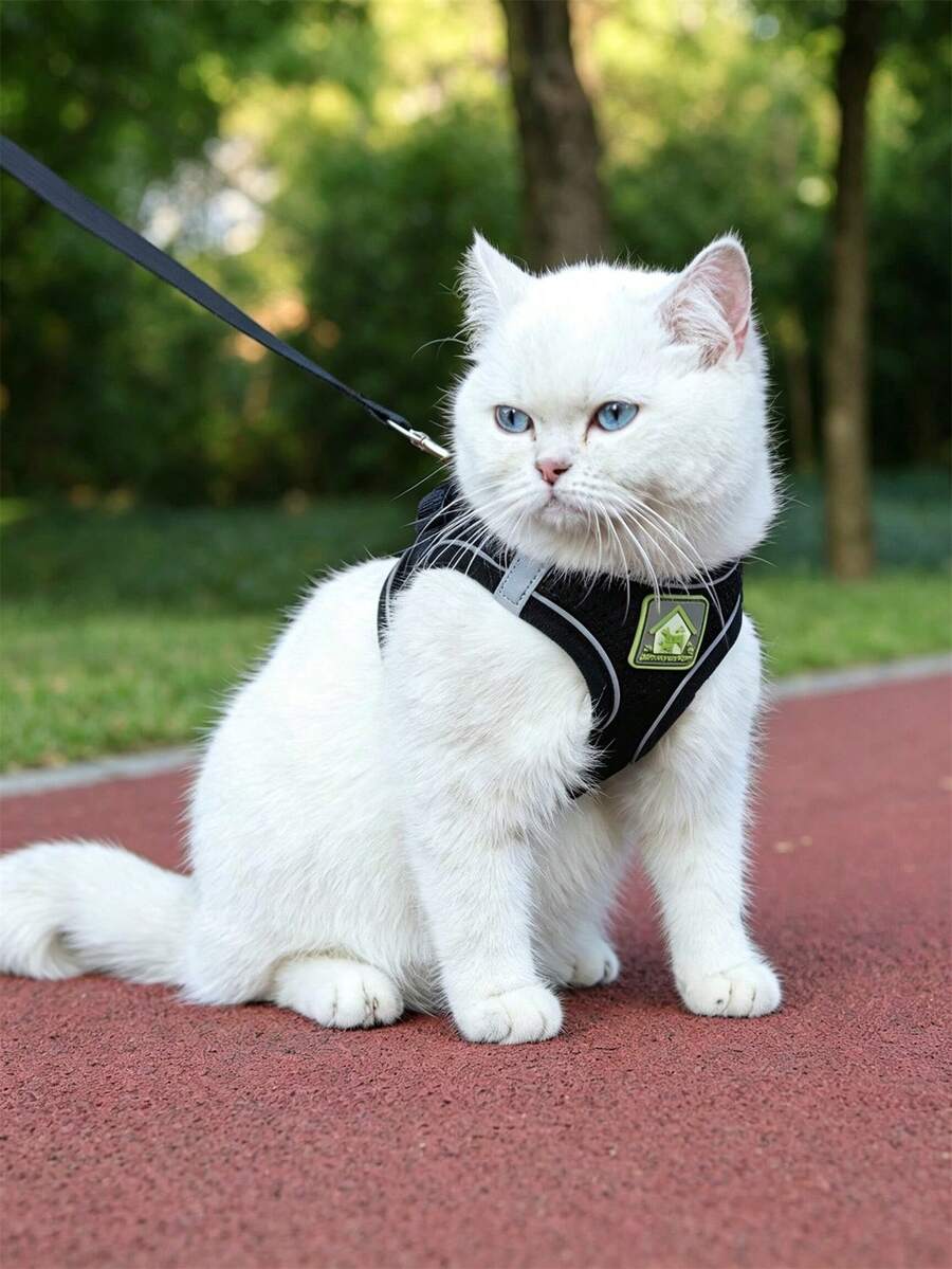 Pet Harness And Leash Set, Suitable For Small Dogs, Medium Dogs And Cats, Soft Breathable Mesh Fabric With Reflective Strip, Adjustable Vest-Style Dog Leash, All-Season Use