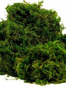 30/50/60/80/90/100/120/160/200/230/250g 人造苔蘚裝飾 - 逼真綠植 - 套裝 - 適合微景觀、窗戶裝飾與設計佈局、仿生人造苔蘚、綠色苔蘚微景觀裝飾、DIY綠植 - 深綠色 - 查看 20
