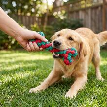 Dog Rope Toy – Bone-Shaped Christmas Theme – Durable Interactive Tug Toy – Suitable For Small To Medium Dogs – Red And Green Color Scheme - Multicolor - View 1