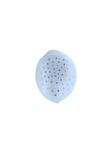 3pcs Silicone Floral Grid, Flexible Stem Holder, Suitable For Square And Round Vase Openings, Waterproof And Reusable, Convenient For Floral Arrangements, Ideal For Weddings, Parties And Daily Home Decor - Multicolor - View 7