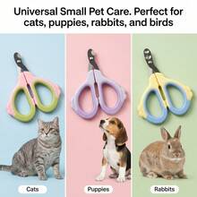 3pcs/1pc Set Curved Pet Nail Clipper, Small Hole Design To Prevent Cutting Blood Line, Nail Trimmer For Cats, Dogs, Puppies, Rabbits And Guinea Pigs, Multi-Color Soft Grip Handle Pet Grooming Tool, Cat Accessories, Rabbit Pet Supplies, Dog Essential, Puppy Essential, Saudi Arabia National Day Gift, Christmas Gift, Halloween Gift - A - View 6