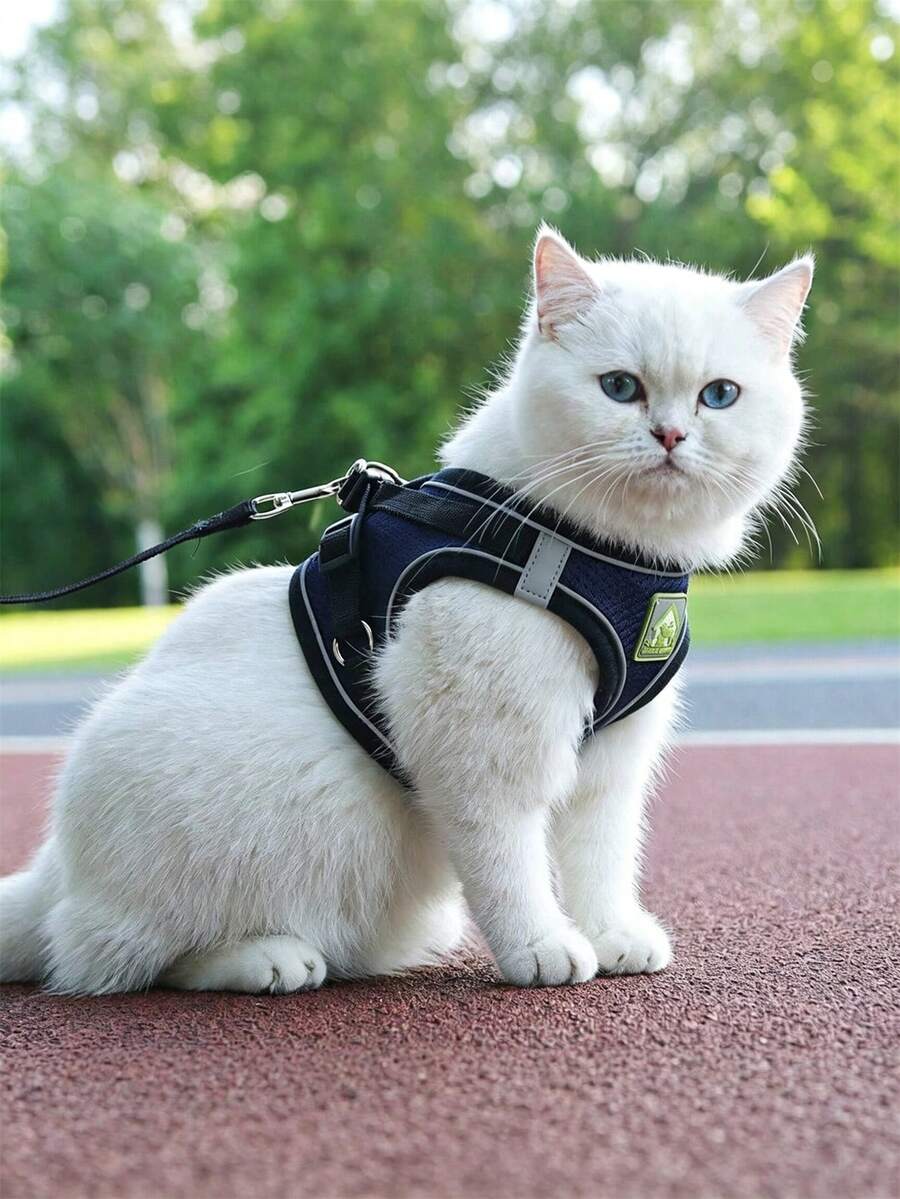 1 Set Pet Harness Vest + Leash, Soft Comfortable Reflective Adjustable Dog Vest, Suitable For Cats And Small Dogs Outdoor Walking