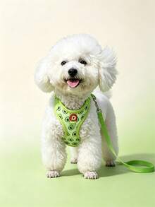 可愛寵物胸背帶與牽繩套組，適合小型犬，可調節式貓咪背心牽繩，四季通用，戶外散步首選 - 綠色 - 查看 3