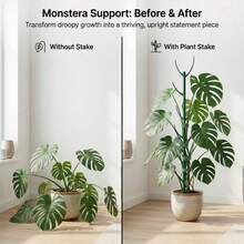 6-Piece Bamboo Plant Support Poles With 5 Support Frames And 1 Roll Of Hook And Loop, Stackable Tall Poles With Hook And Loop Binding, Specially Designed For Supporting Climbing Plant Stems - Durable Vine Frame Garden Posts, Suitable For Outdoor Gardening - A - View 3