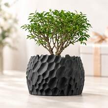 Black Rock Texture 3D Printed Planter, Modern Stone Appearance Plant Stand, Home Office Bookshelf Workspace Aesthetic Desk Decor, Unique Gift For Plant Lovers And Decor Enthusiasts, Gardening Home Decor Gift - Black Rock Texture Planter - View 1