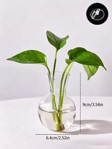 Wall-Mounted Transparent Hydroponic Vase, Suitable For Pothos Plants, Plastic Hanging Rack With Suction Cups, Spherical Vase, Suitable For Office And Home Decor, Home Gardening, Window Plant Propagation Station - Multicolor - View 7