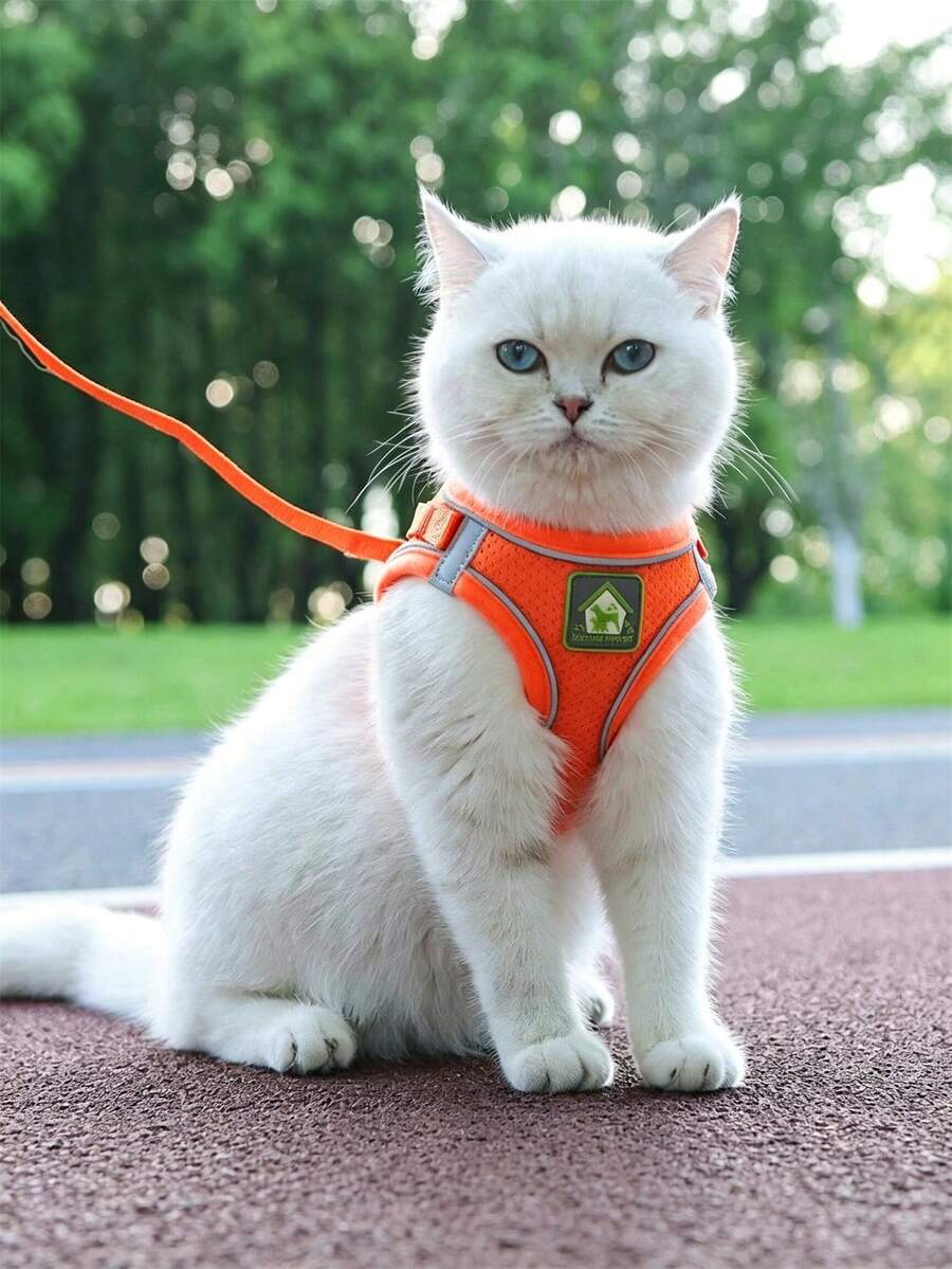 1 Set Pet Harness And Leash Set, Soft Mesh Breathable Reflective Adjustable Dog Vest, Suitable For Small Cats And Dogs, All Season