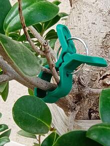 20pcs Garden Plant Clips, Plastic Gardening Clips, Butterfly Orchid Tomato Vine Branch Fixing Support Clips - A - View 2